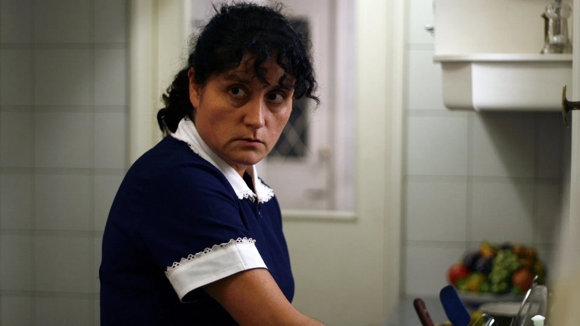 دانلود فیلم The Maid 2009