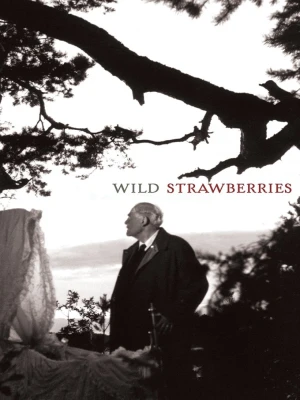 دانلود فیلم Wild Strawberries