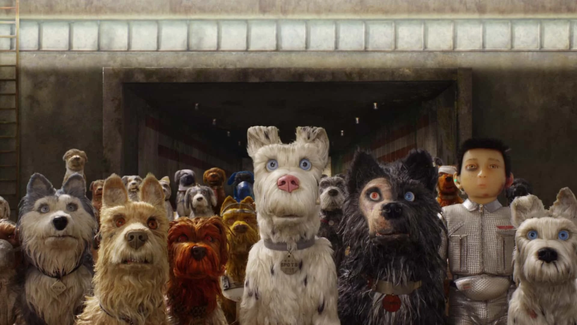 دانلود انیمیشن Isle of Dogs 2018