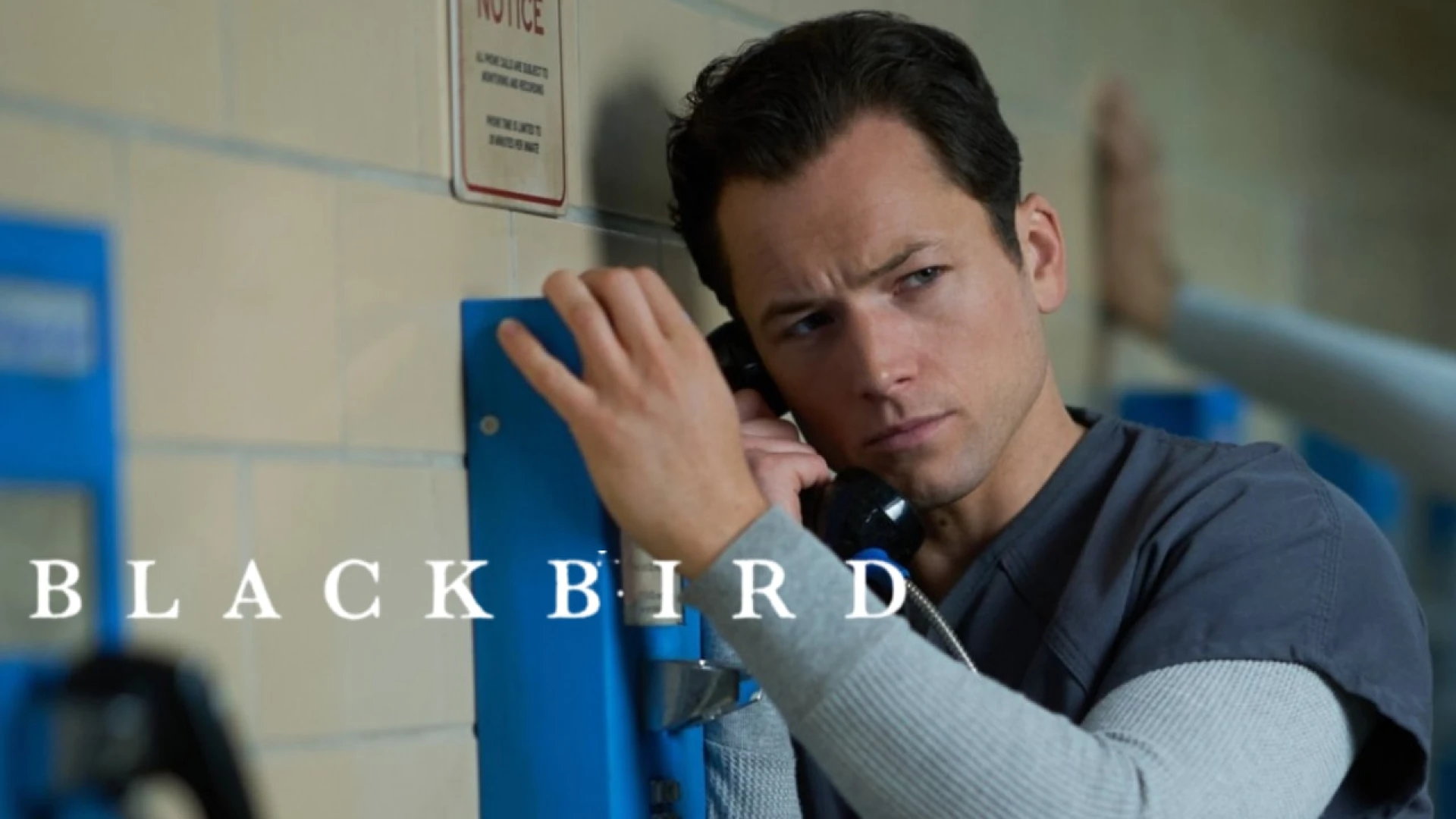 دانلود سریال Black Bird