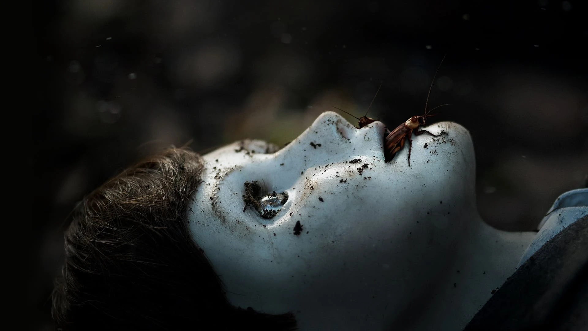 دانلود فیلم Brahms: The Boy II 2020