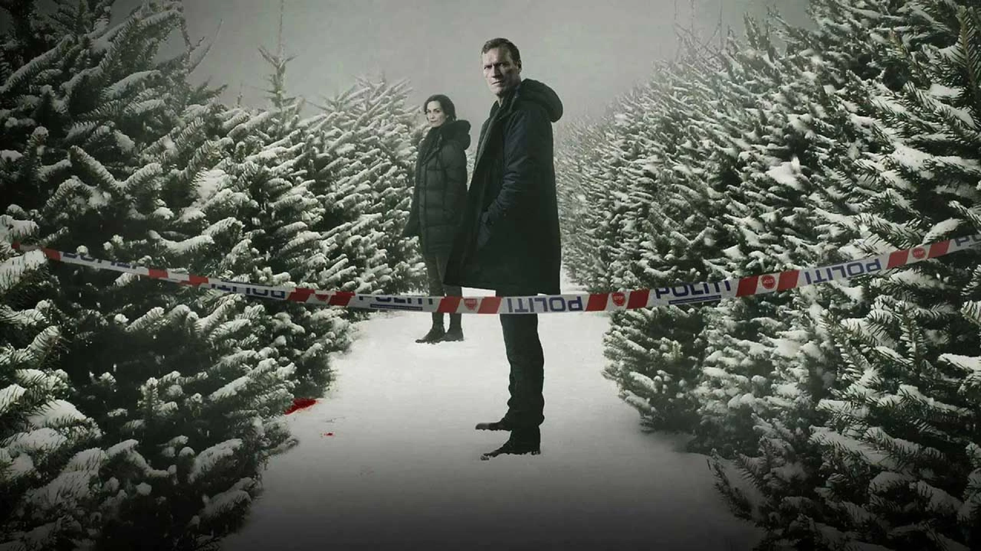 دانلود سریال Wisting