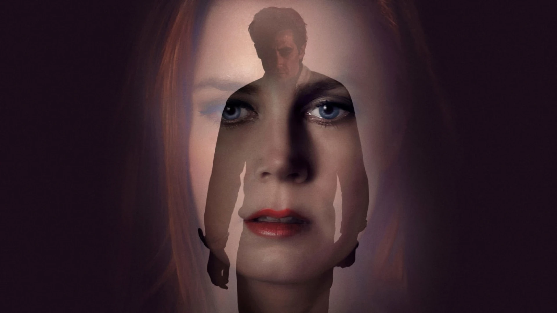 دانلود فیلم Nocturnal Animals 2016