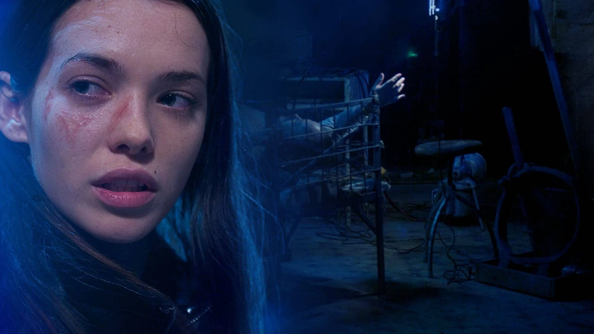 دانلود فیلم I Spit on Your Grave 2 2013