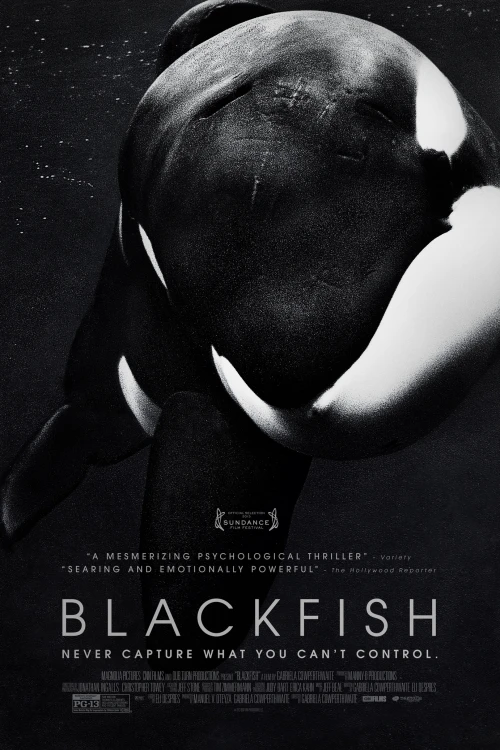 دانلود فیلم Blackfish