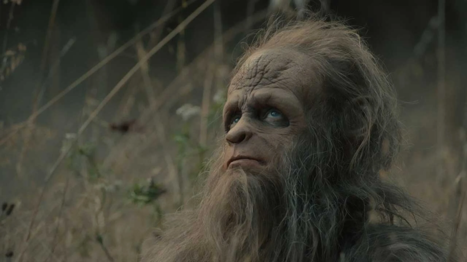 دانلود فیلم Sasquatch Sunset 2024