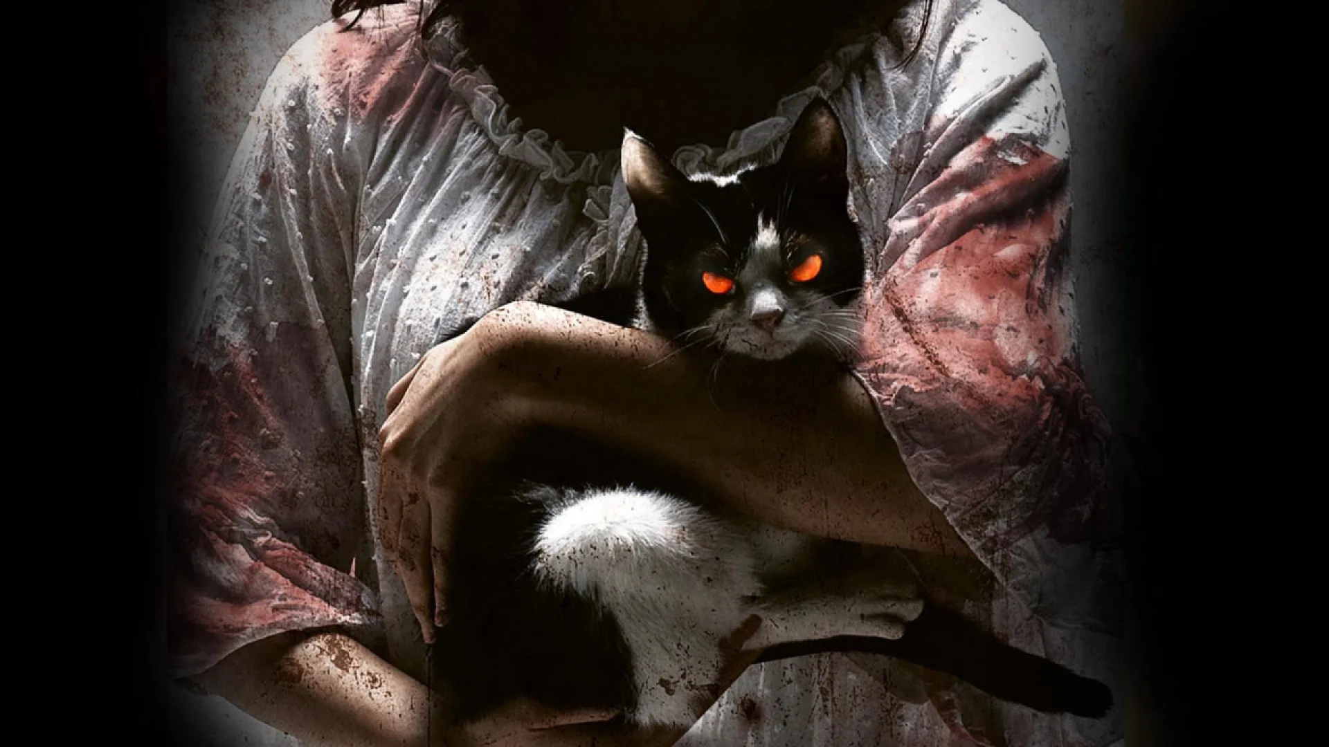 دانلود فیلم The Cat 2011