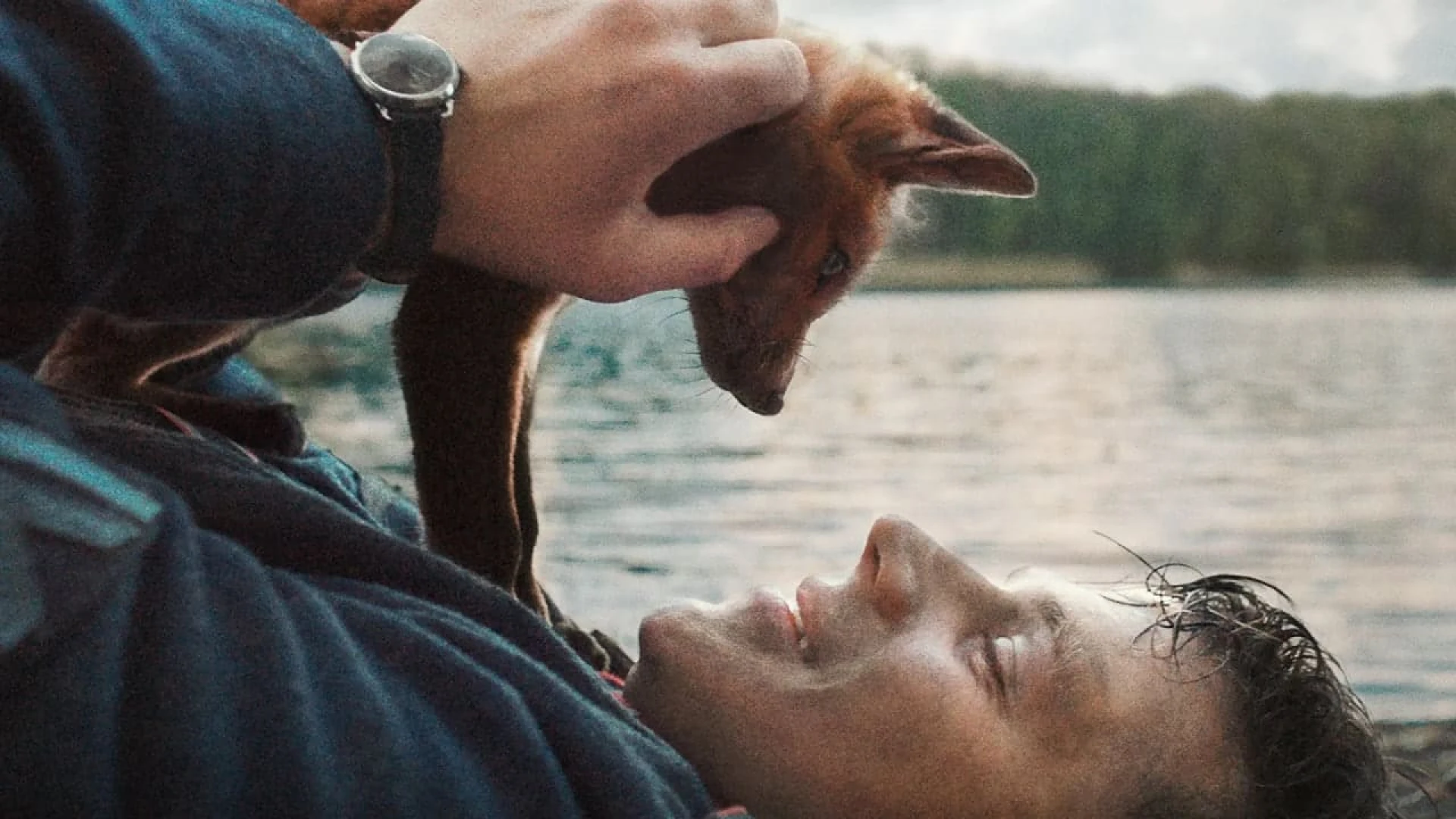 دانلود فیلم The Fox 2022