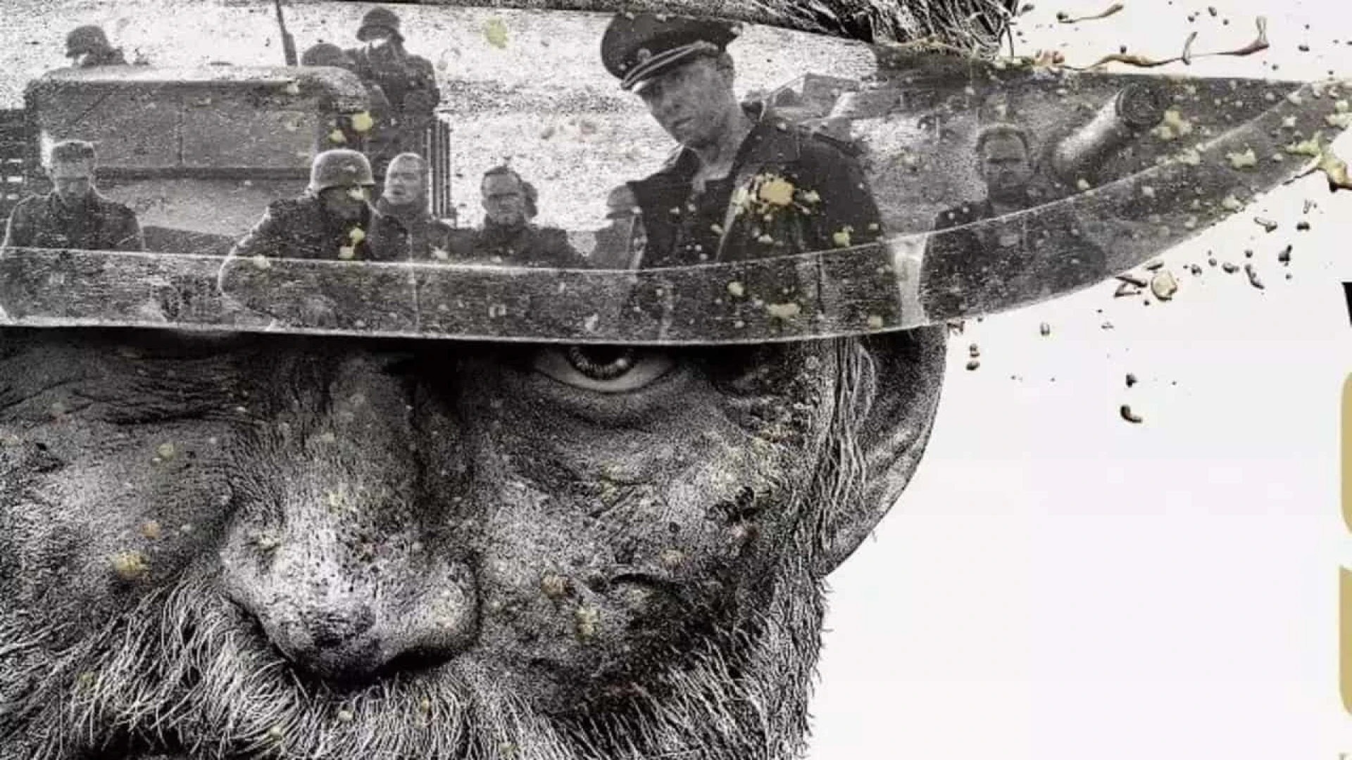 دانلود فیلم Sisu 2022