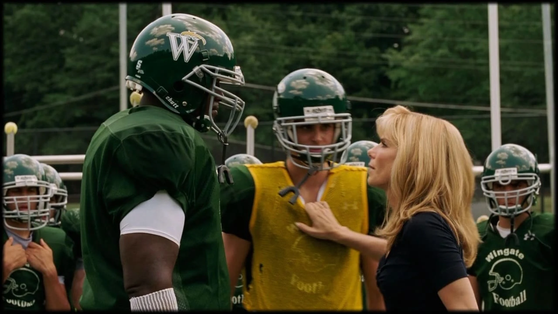 دانلود فیلم The Blind Side 2009