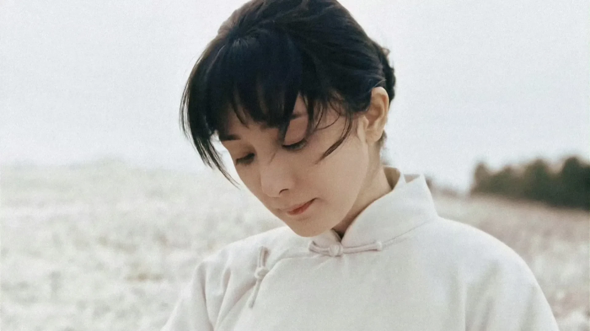 دانلود سریال This Thriving Land